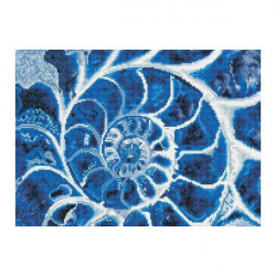 Diamond Painting Blaue Nautilus