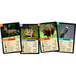 Quartett Heimische Tiere - Nature Zoom