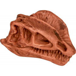 Ausgrabungsset Dinosaurier-Schädel - T-Rex World, sort.