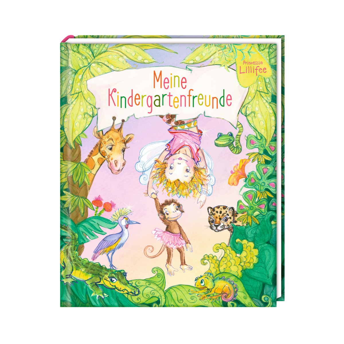 Freundebuch: Prinzessin Lillifee - Meine Kindergartenfreunde