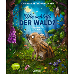 Wie schläft der Wald? Nachhaltig hergestelltes Öko Pappbilderbuch für die Kleinsten