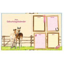 Freundebuch: Alle meine Kindergartenfreunde   Pferdefreunde