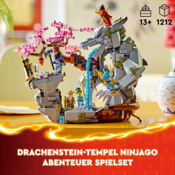 LEGO® Ninjago® 71819 Drachenstein Tempel