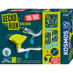 Gecko Run   Big Box