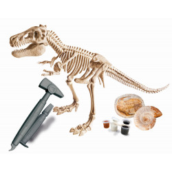 Clementoni Galileo Ausgrabungs Set T Rex & Fossil Modellier Set