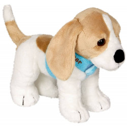 Beagle Cooper   Lustige Tierp