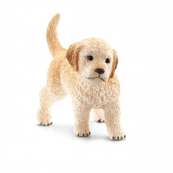 Golden Retriever Welpe
