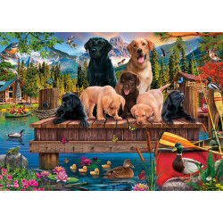 PU1000T.Hundefamilie am See