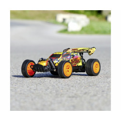 RC Dune Stinger  RTR