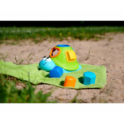 ABC Schwimmende Sortierschildkröte