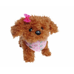 Chi Chi Love Tea Cup Poodle Puppy
