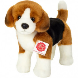 Teddy Hermann Beagle stehend, 23 cm