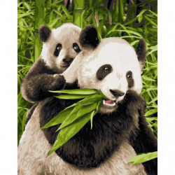 Malen nach Zahlen   Pandabären