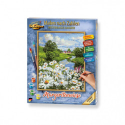 Malen nach Zahlen   Margeritenwiese