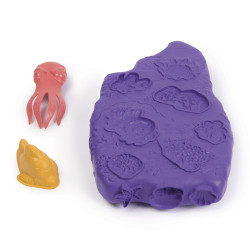 Coral Reef