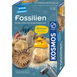 Fossilien