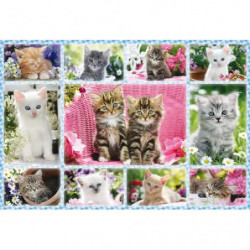 Pz. Katzenbabys 100T