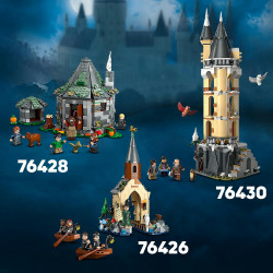 LEGO® Harry Potter 76430 Eulerei auf Schloss Hogwarts