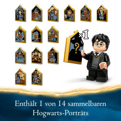 LEGO® Harry Potter 76430 Eulerei auf Schloss Hogwarts