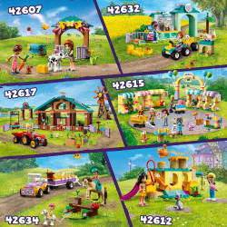 LEGO® Friends 42612 Abenteuer auf dem Katzenspielplatz