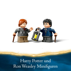 LEGO® Harry Potter™ 76434 Aragog im Verbotenen Wald™