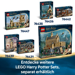 76443 Hagrids und Harrys