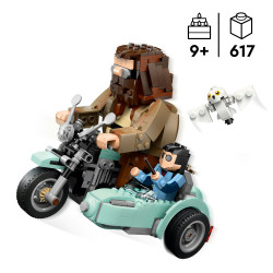 76443 Hagrids und Harrys