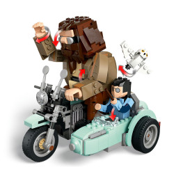 76443 Hagrids und Harrys