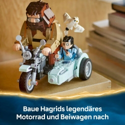76443 Hagrids und Harrys