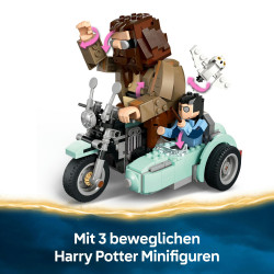 76443 Hagrids und Harrys