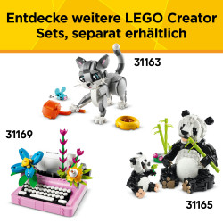 31162 Häschen