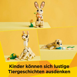 31162 Häschen