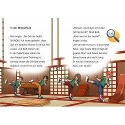 Die drei ??? Kids Bücherhelden 2. Klasse Vorsicht Ninjas!