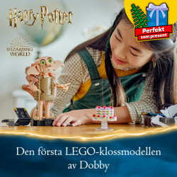 LEGO® Harry Potter™ 76421 Dobby™ der Hauself