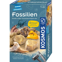 Fossilien