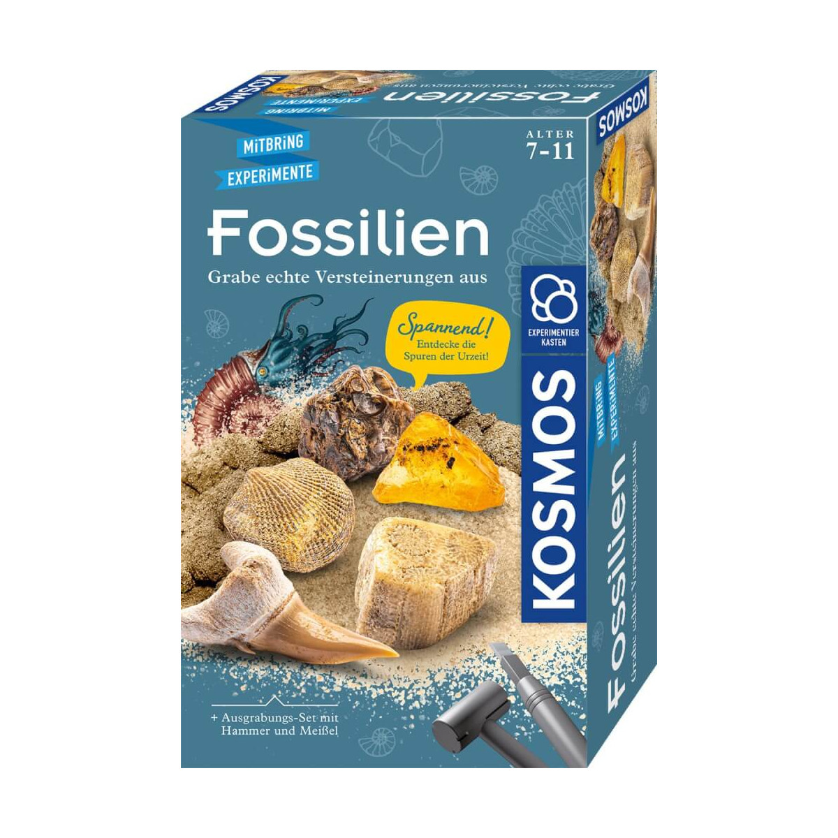 Fossilien