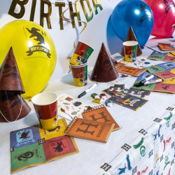 8 Partyhütchen Harry Potter