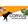 CORVUS